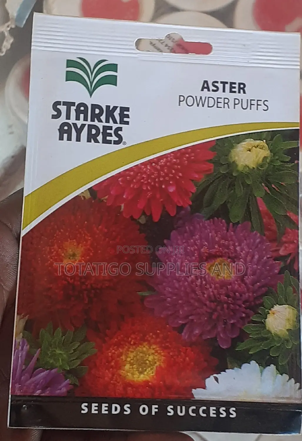 Aster Flower Seeds