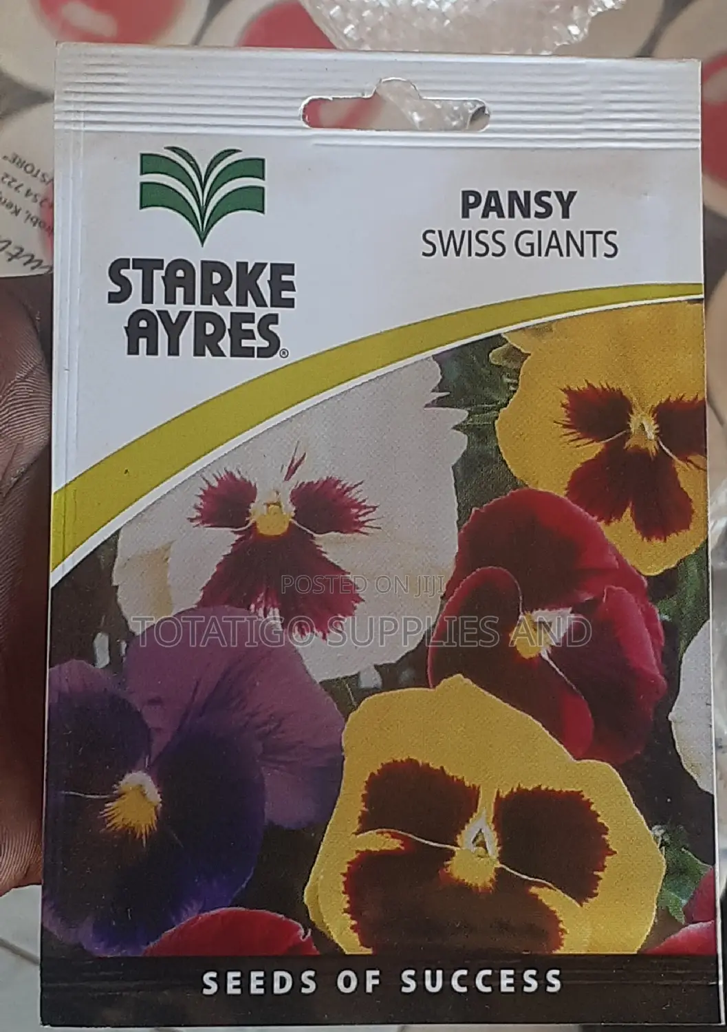 Aster Flower Seeds