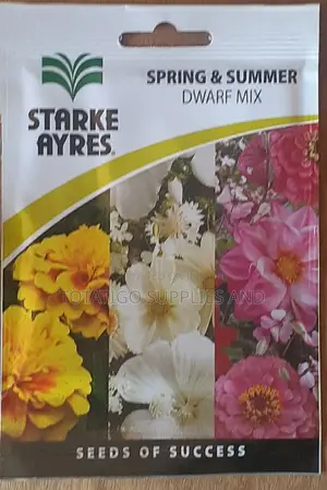 Dwarf Mix Seeds for Flowers