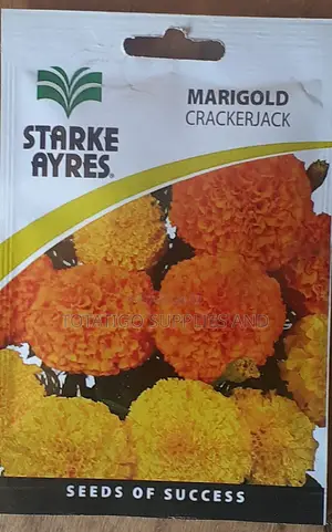 Marigold and Canation Flower Seeds