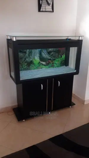 Black and Black Aquarium and Best Back Ground Paper