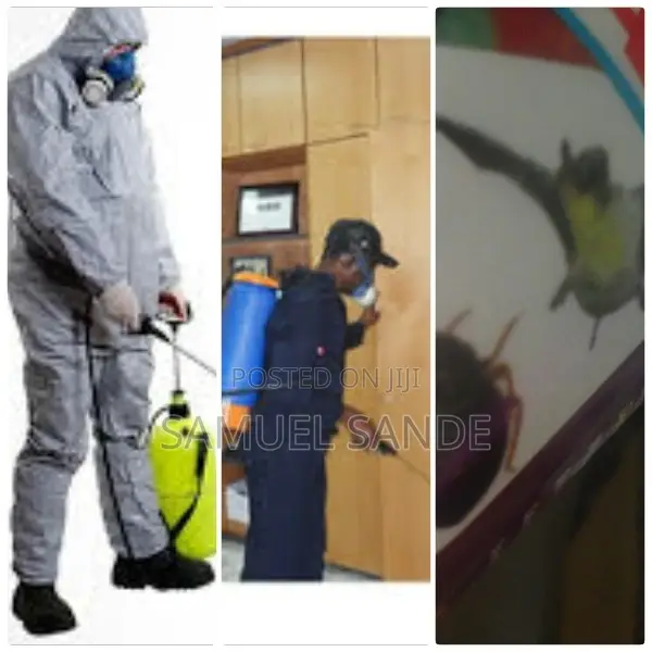 Odourless Fumigation Services