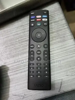 Vizio Magic Remote