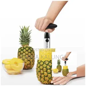 Pineapple Cutter