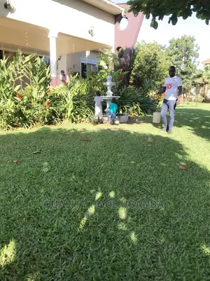 Water Fountain Contractor