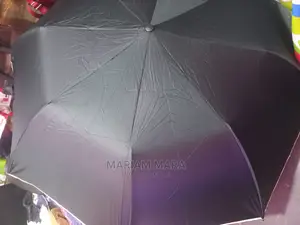 Portable Umbrella