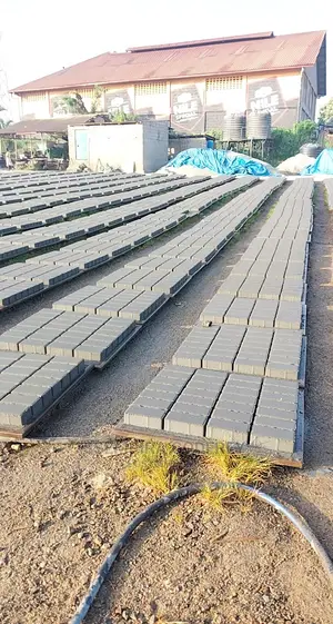 Pavers With Quality