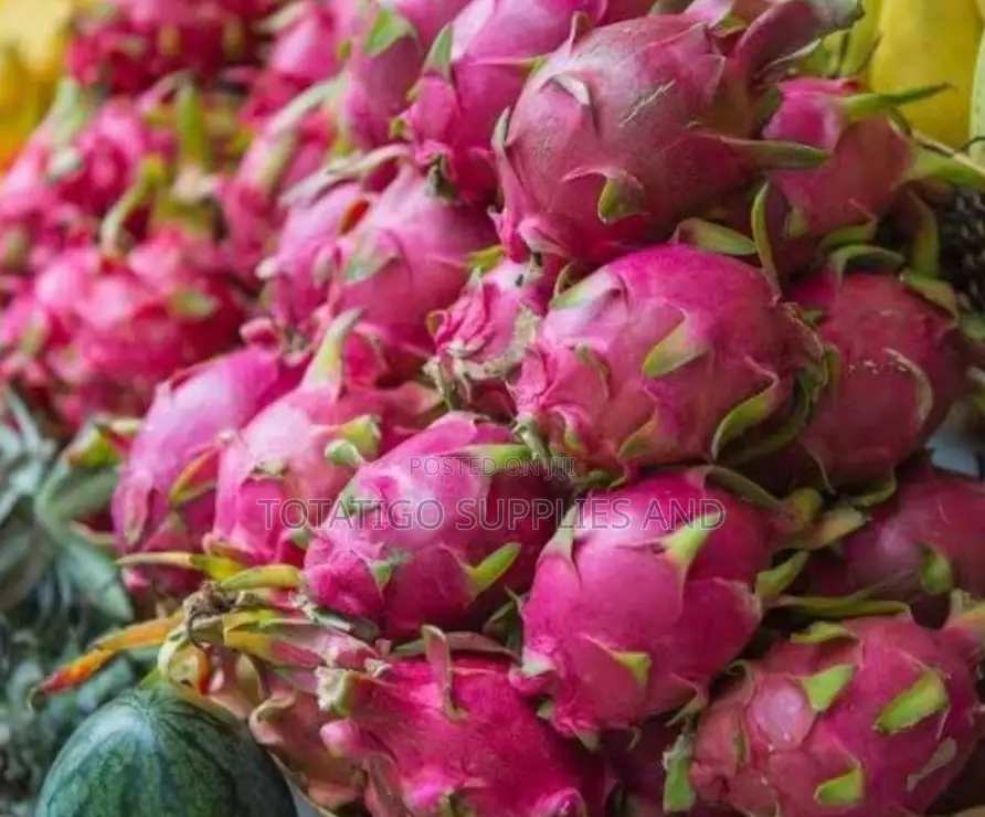 Dragon Fruits-1pc
