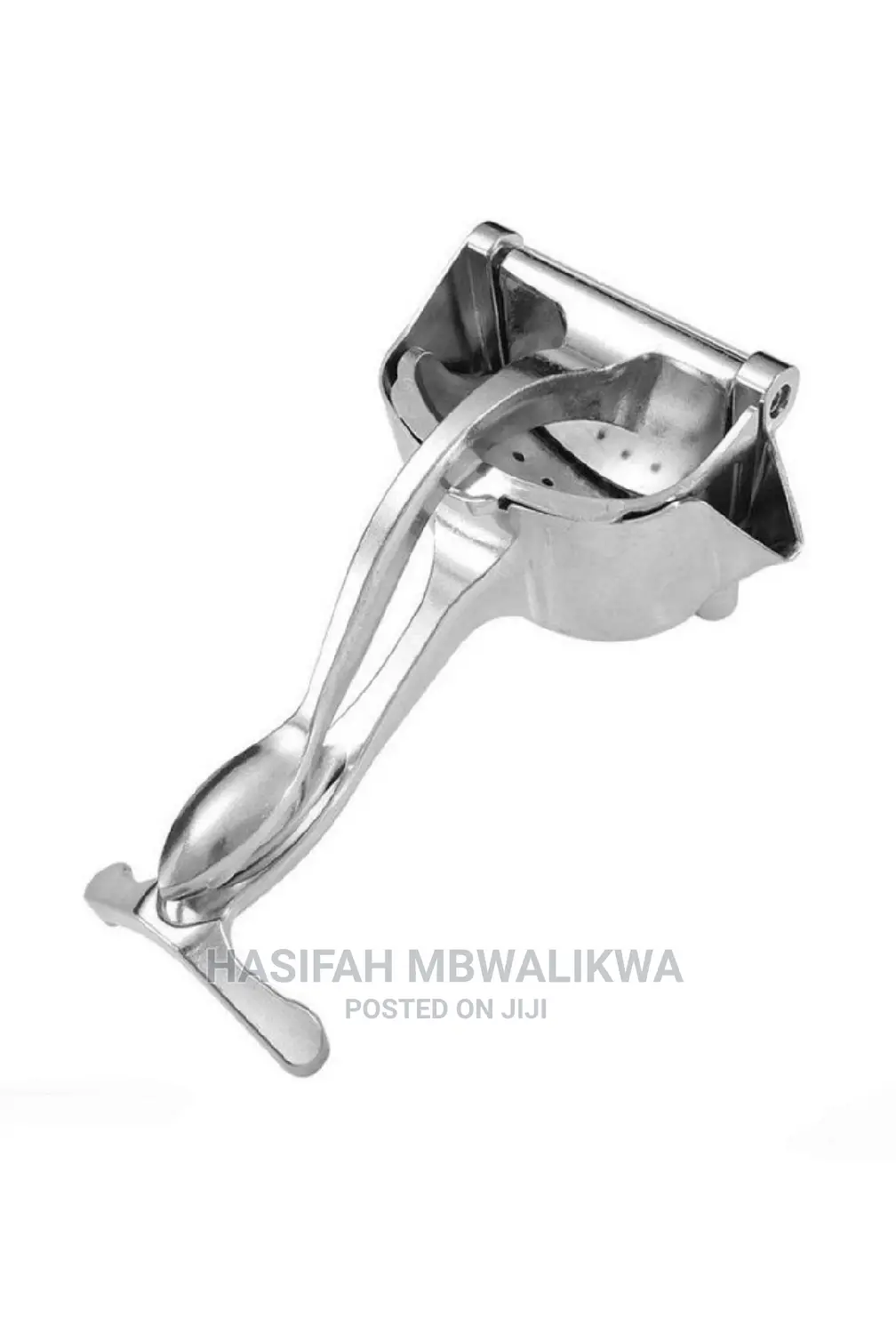 Fruit Press Juicer