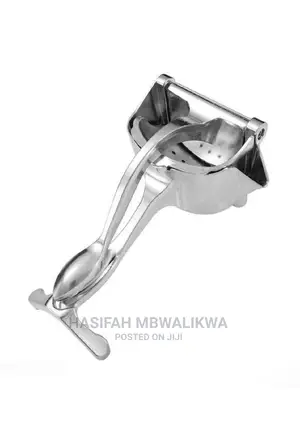 Fruit Press Juicer