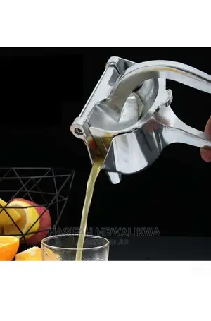Fruit Press Juicer