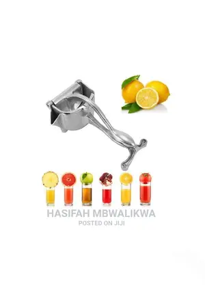 Fruit Press Juicer
