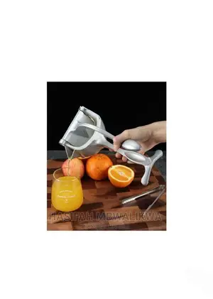 Fruit Press Juicer
