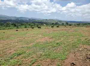 50*100ft Plots With a Verified Title in Nakawuka Estate