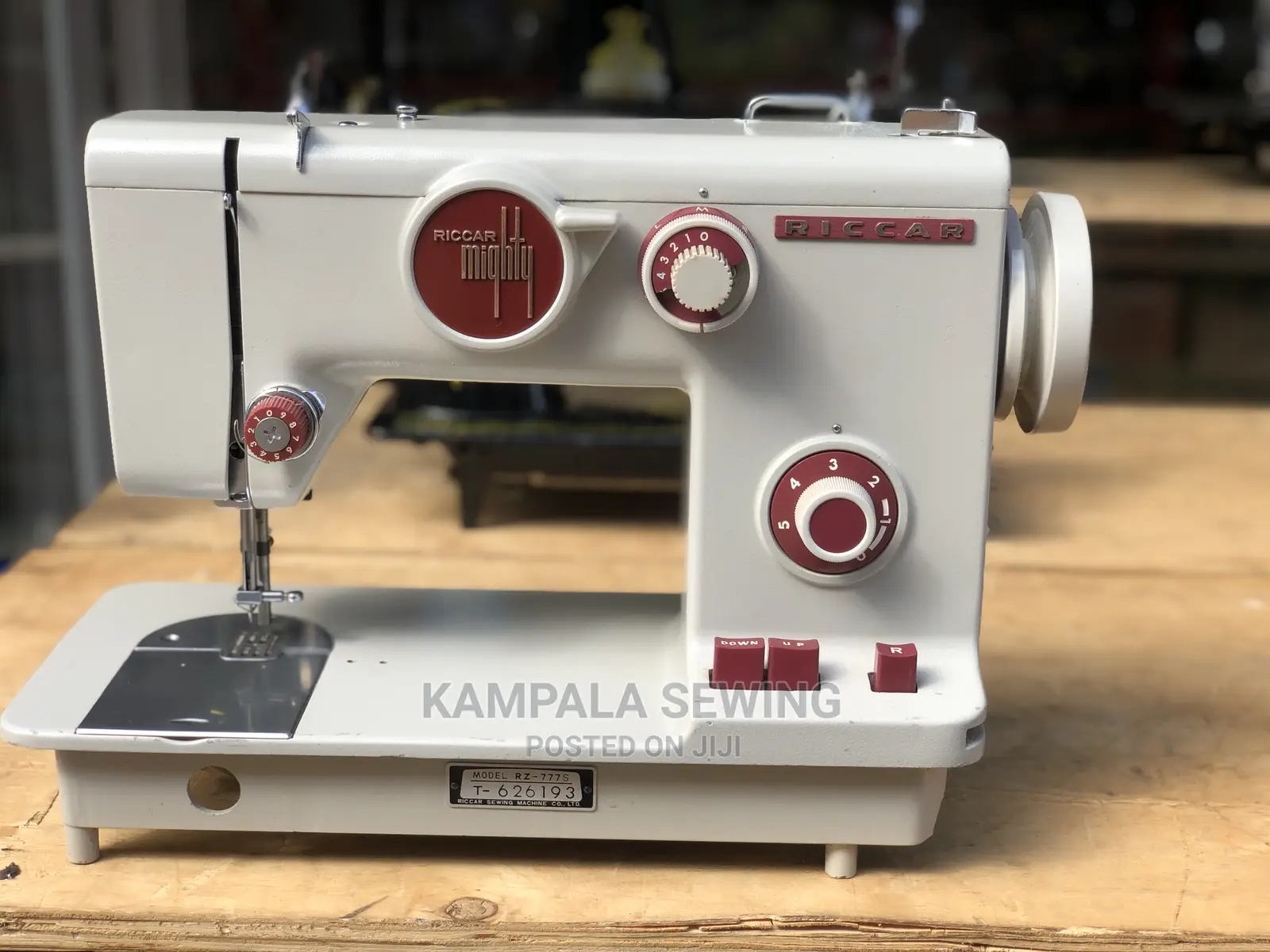 Zigzag Design Ricca Sewing Machine