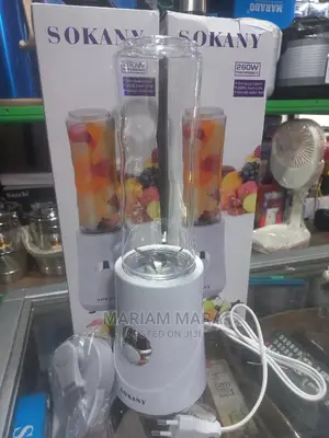 Smoothie Maker /Min Blender