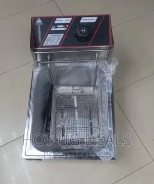 6l Ad Electric Deep Fryer - Silver