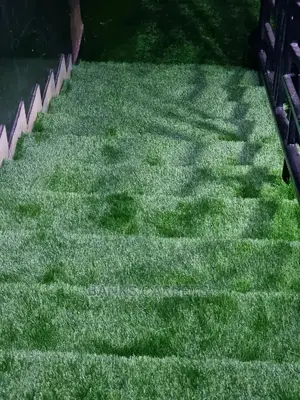 Artificial Grass