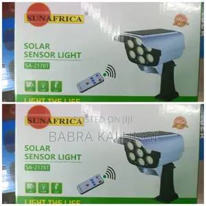 Solar Motion Sensor Light