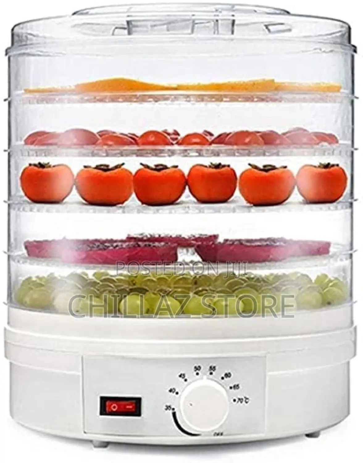 Electric Food Dehydrator.