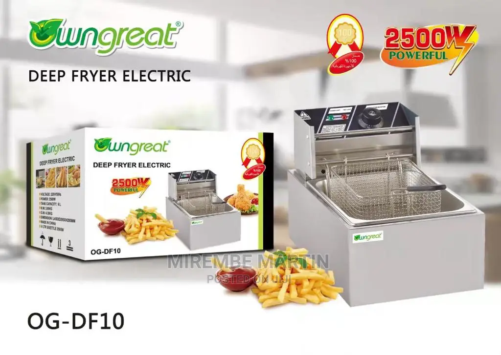 Single Deep Fryer