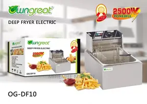 Single Deep Fryer