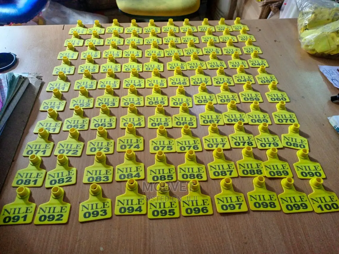 Ear Tags Personalised. 100pieces