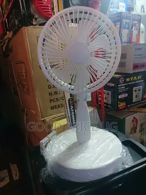 Rechargeable Stand Fan
