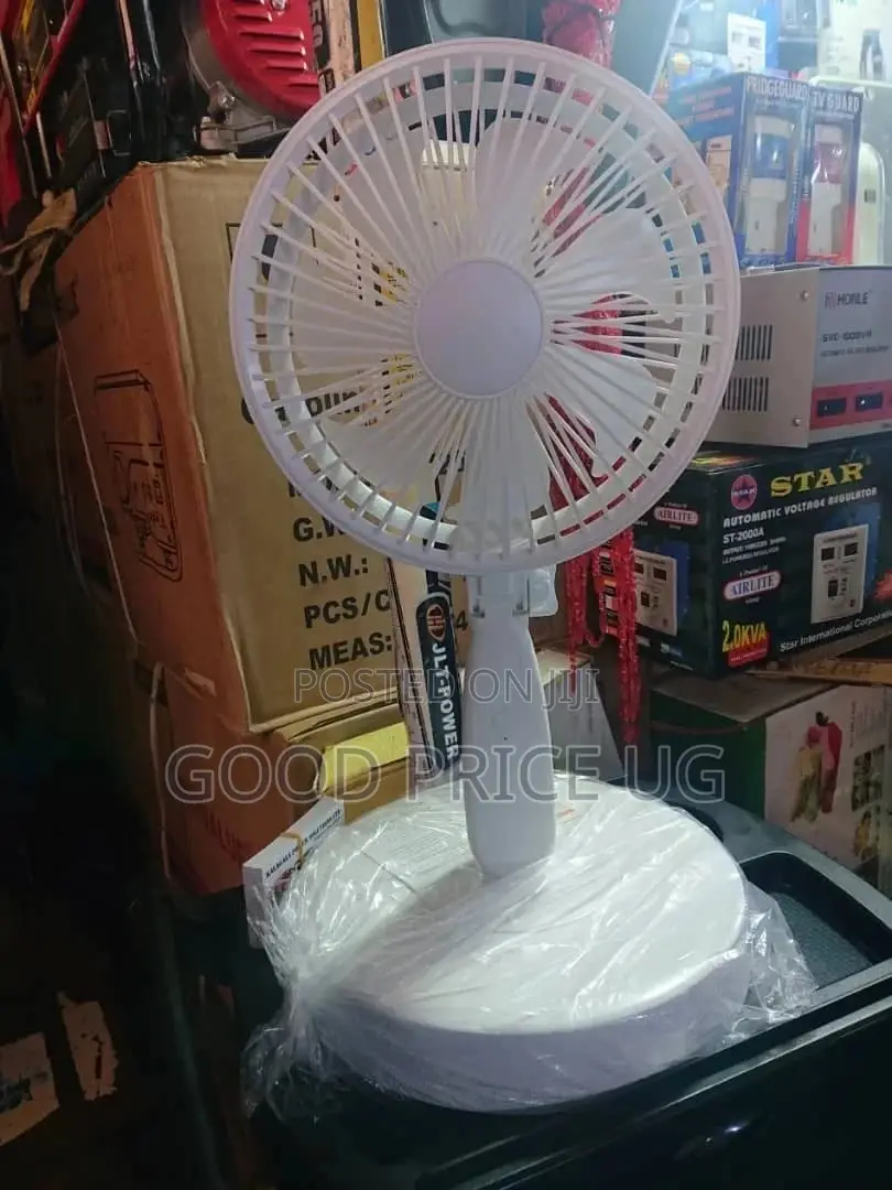 Rechargeable Stand Fan