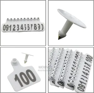 100 Cows White Ear Tags