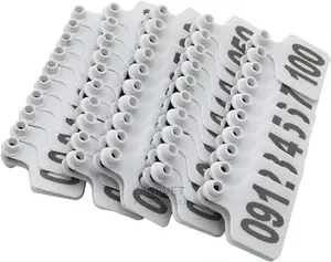 100 Cows White Ear Tags