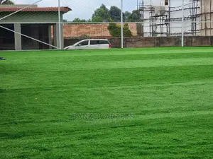Artificial Grass