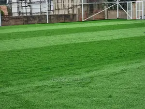Artificial Grass