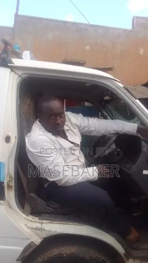The DL Driver