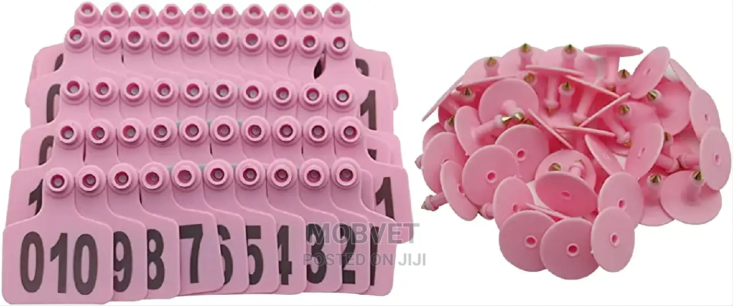 100 Cows Pink Ear Tags