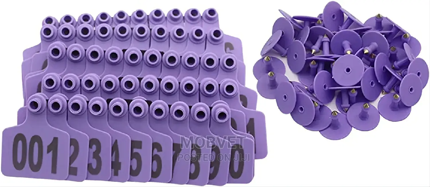 100 Cows Purple Ear Tags