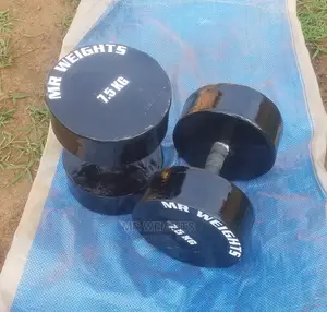 Gym and Home Concrete Dumbbells