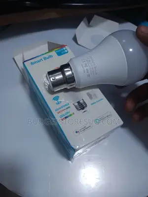 Multi Color Wireless Bulb