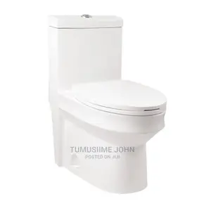 Ceramic Toilet