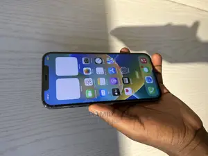 Apple iPhone 12 Pro Max 256 GB Black