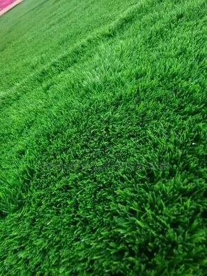 Grass Carpet(Artificial Grass) Grass Carpet