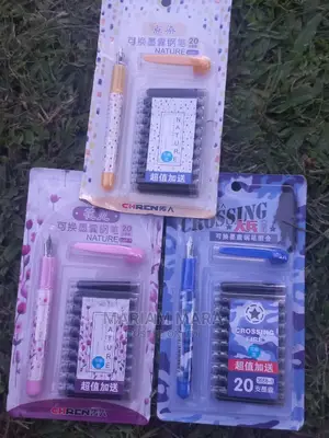 Fountain Pen /Pen