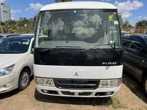 Mitsubishi Fuso Rosa 2010 White