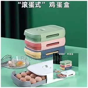 Egg Storage Box