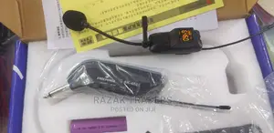 Professional Wireless Microphone