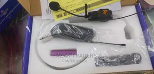 Professional Wireless Microphone