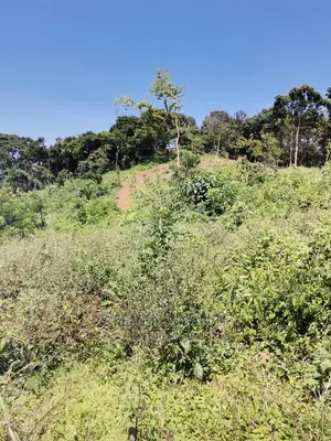 Hill Top Acre of Genuine Land With Ready Title.