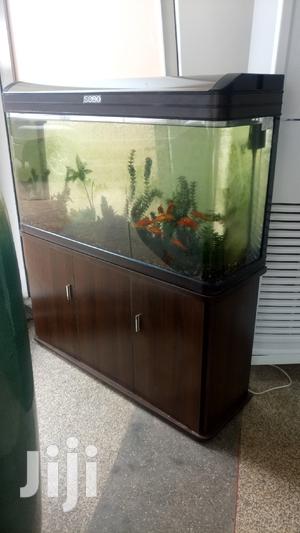Aquarium With Goldfish