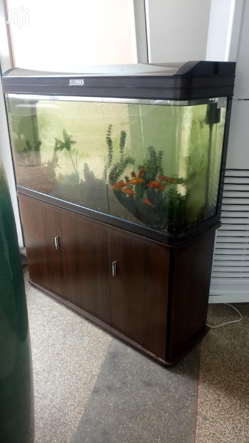 Aquarium With Goldfish