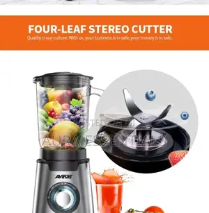 Avinas AV-168 High Quality Multi-Function Electric Gas Jar